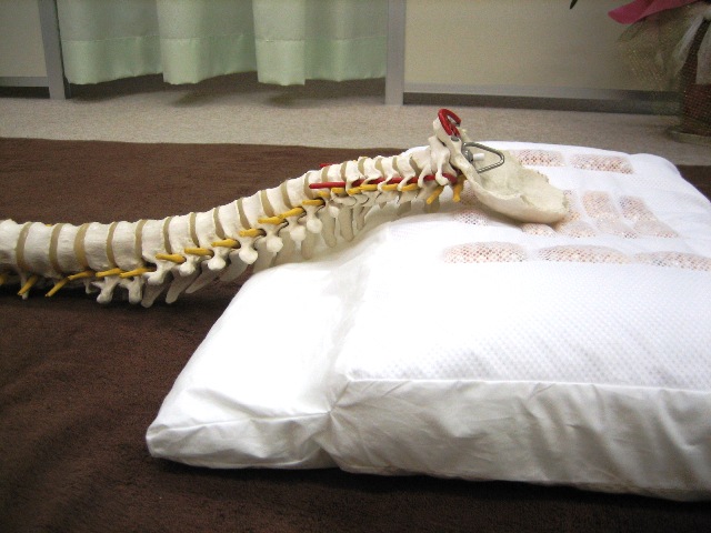 施療院内でも好評のザブピローは、施術の中で生まれた安眠健康枕です。